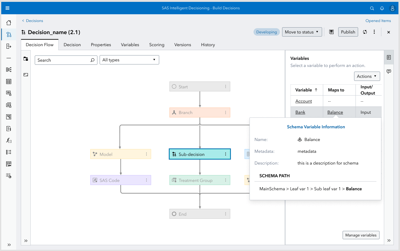 Schema variable information pop-over revealing the schema path in context within the decision flow canvas